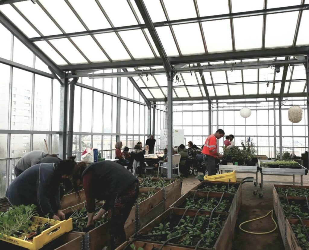 , Transition écologique et solidaire : à Nantes, les légumes poussent sur les toits